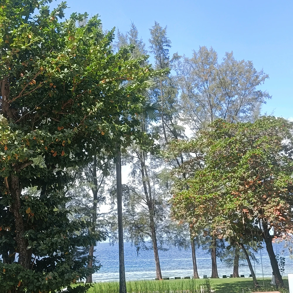 Image uploaded by Hasana