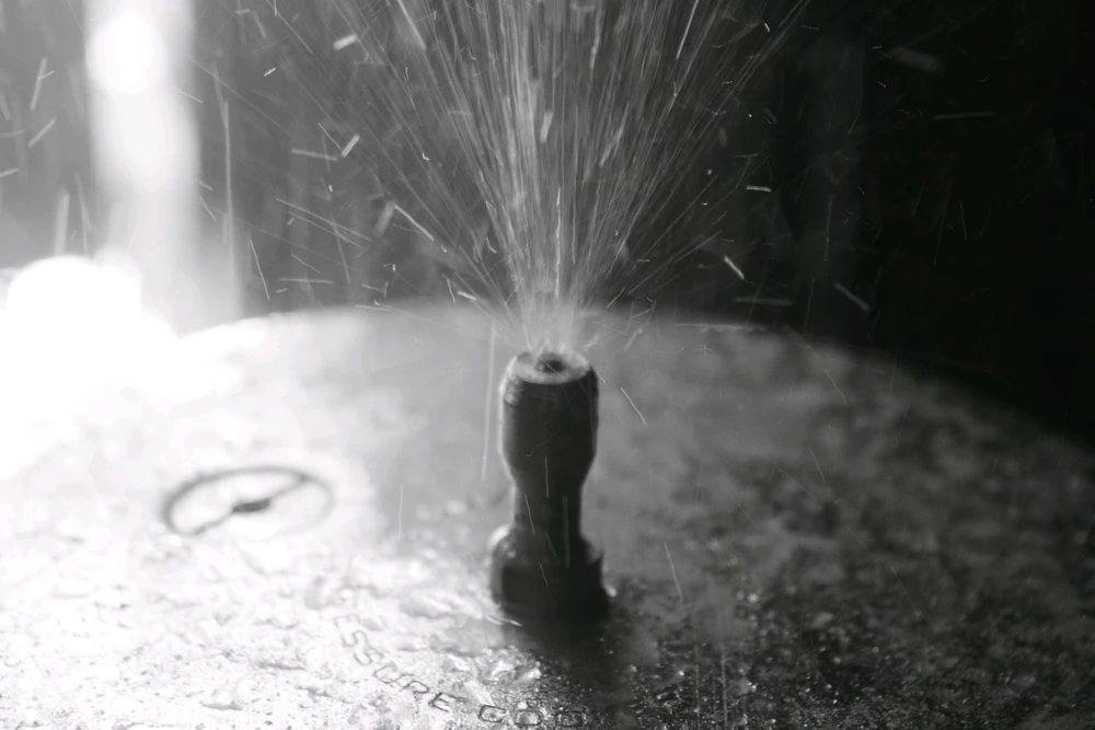 GIF uploaded by S