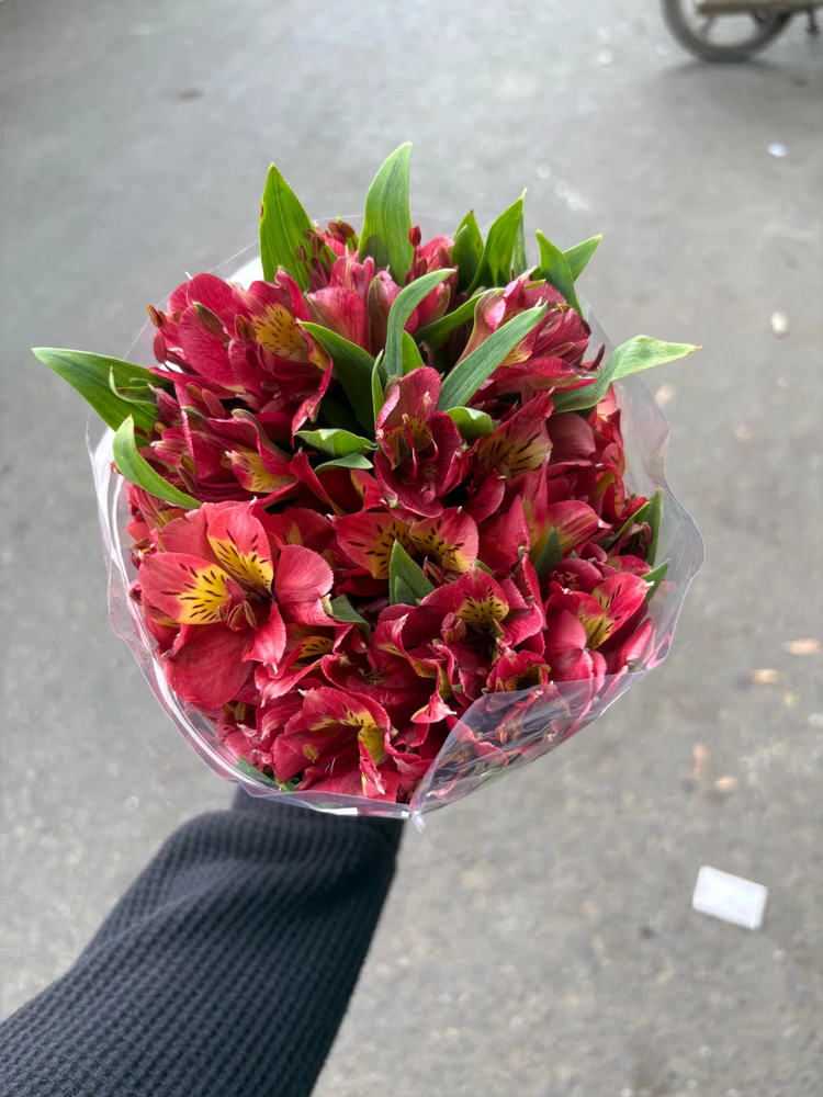 Image uploaded by Hana