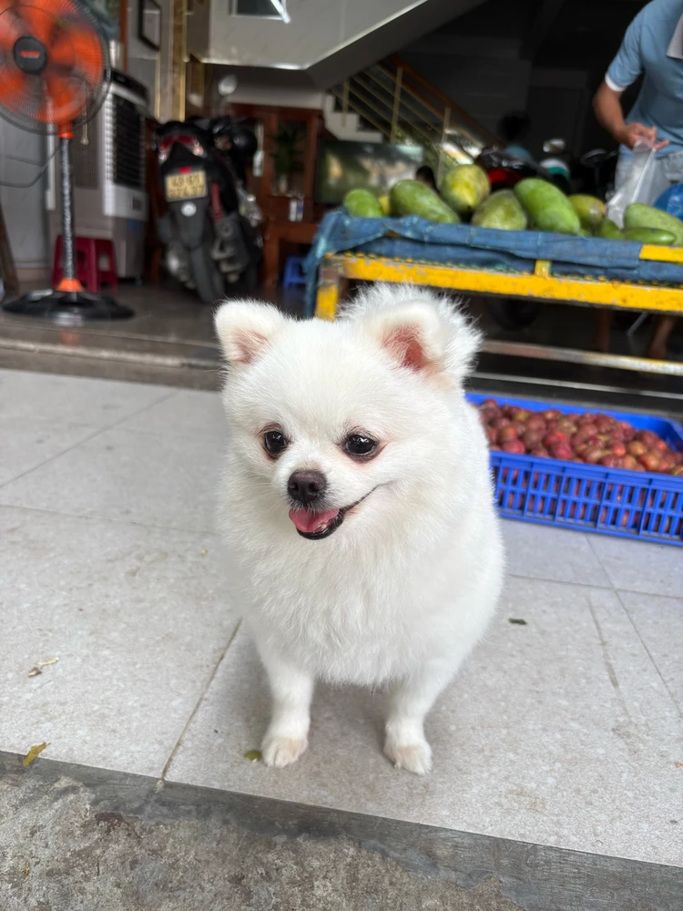 Image uploaded by Hana