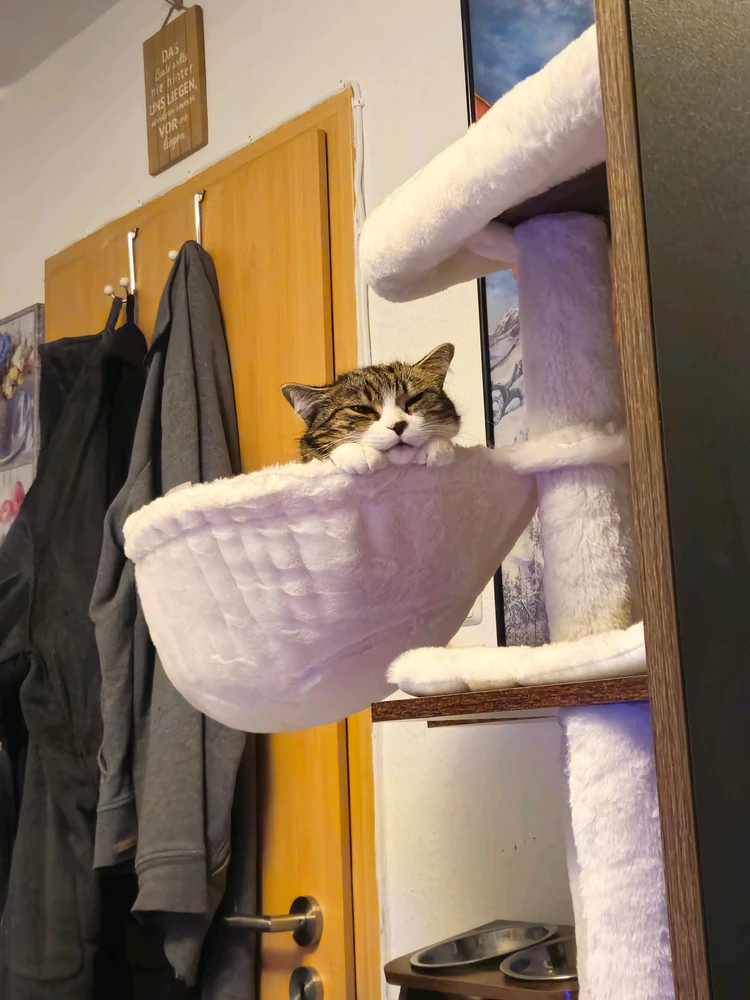 GIF hochgeladen von Lukas