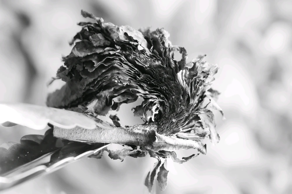 GIF uploaded by S