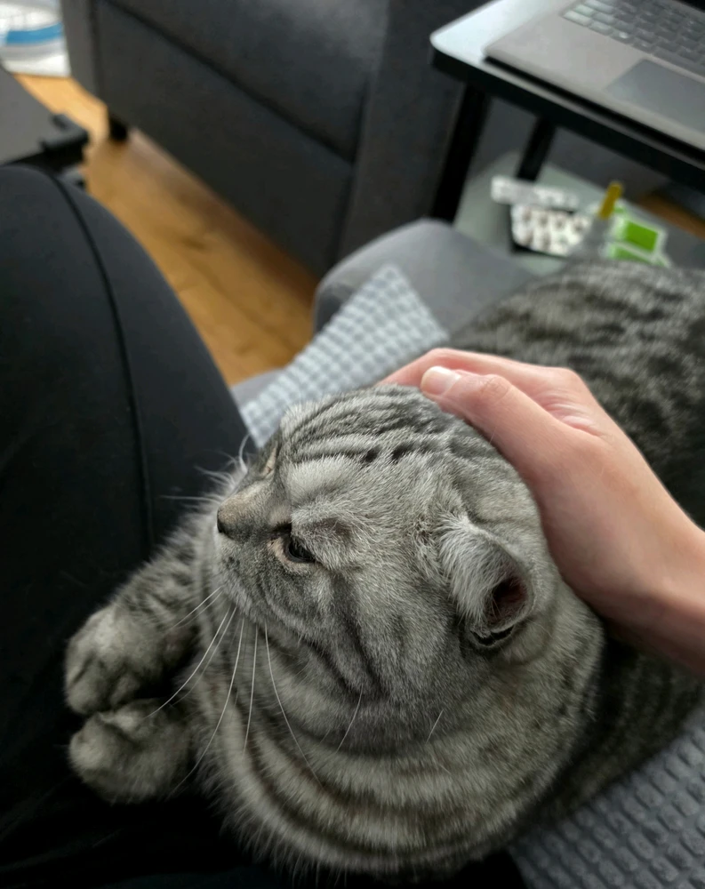 GIF hochgeladen von 𝕁𝕖𝕤𝕤𝕚𝕔𝕒