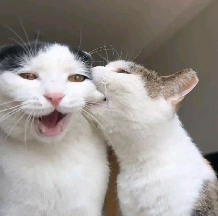 GIF uploaded by Rish
