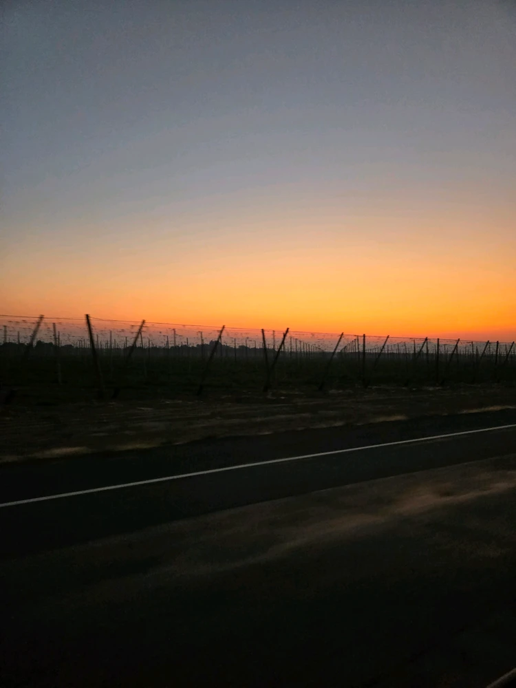 Image uploaded by Malachi