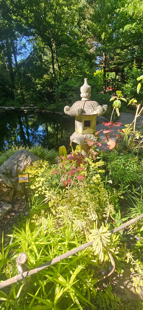 Image uploaded by Ash