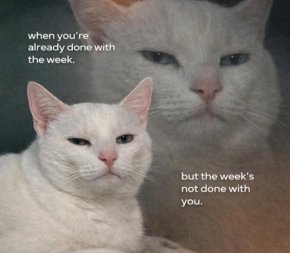 GIF uploaded by Moonie