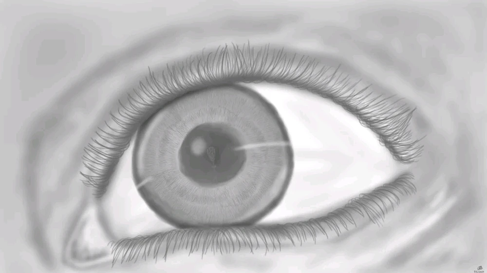 GIF uploaded by Samuel