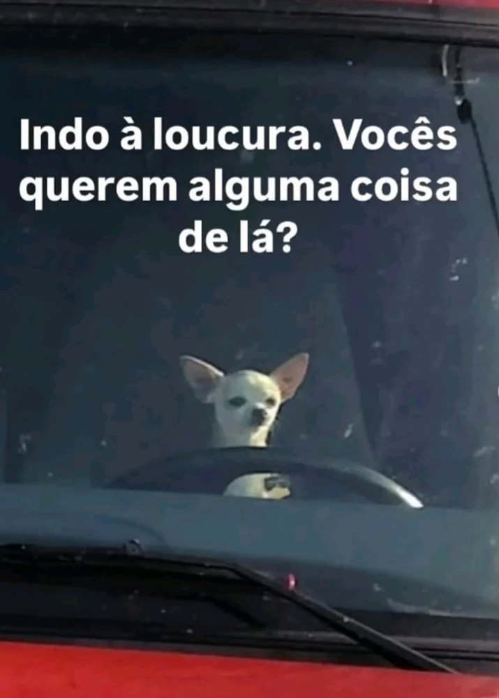 GIF enviado por July