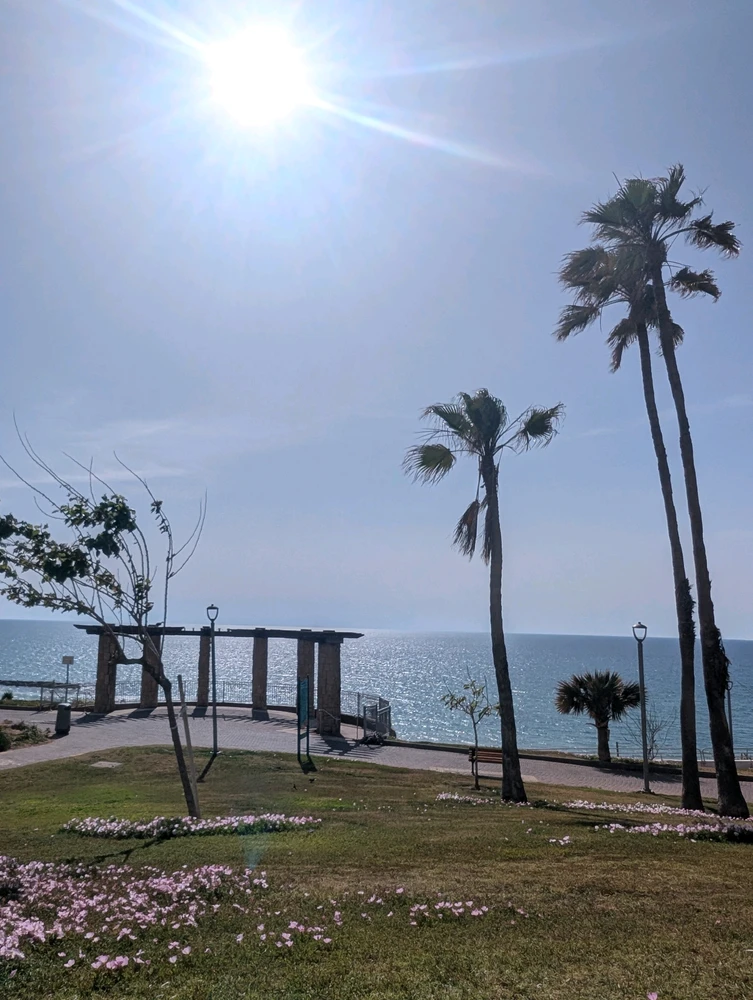 GIF uploaded by Aviv