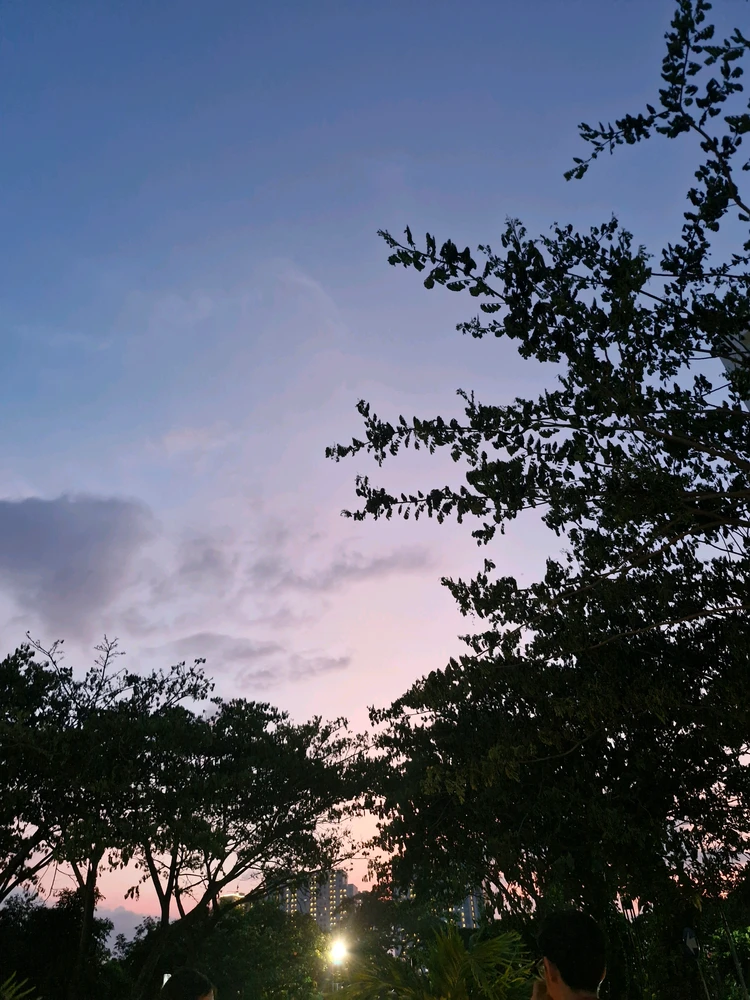 Image uploaded by alvi