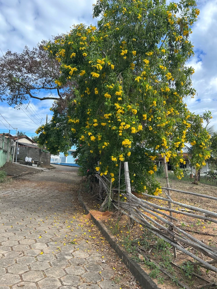 GIF enviado por Uermeson Estevão Silva