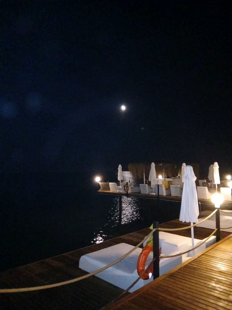Image uploaded by Mustafa