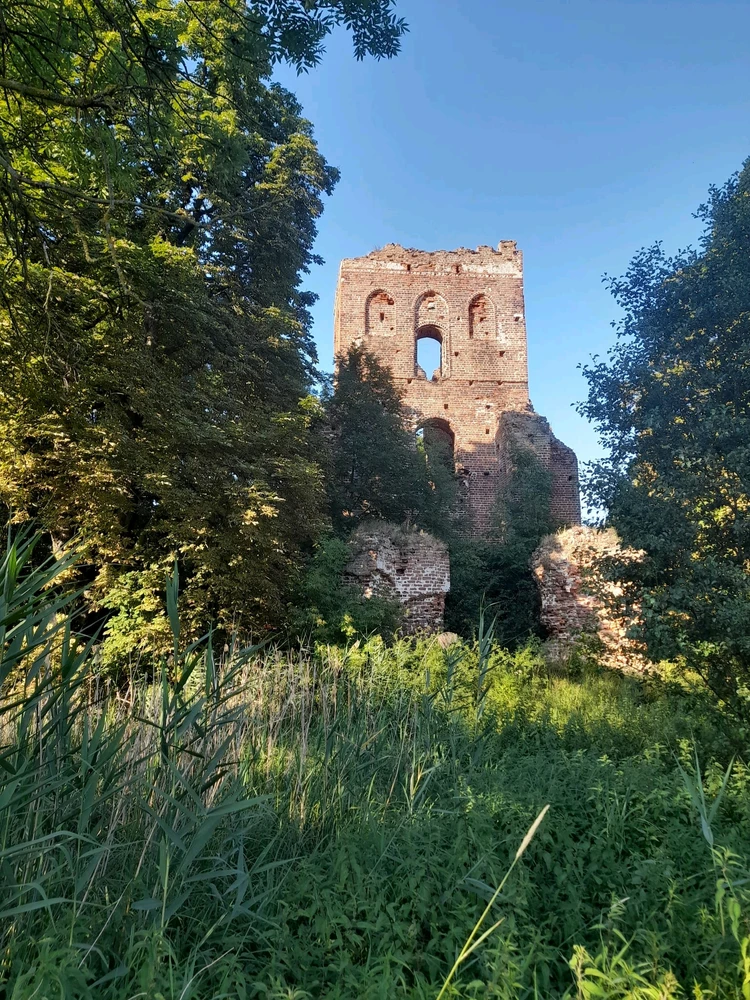 Zdjęcie dodane przez Ula