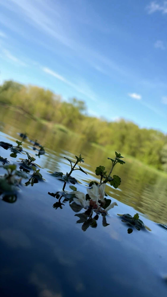 Image uploaded by Breyhana
