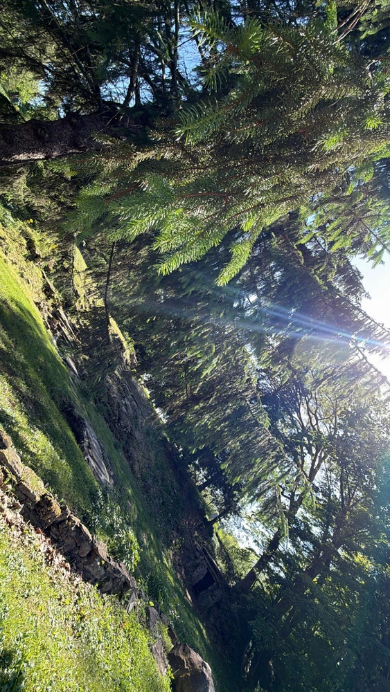 Image uploaded by Breyhana