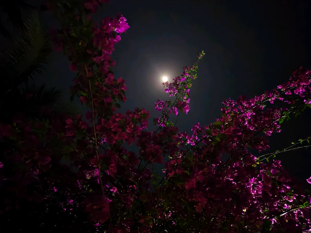 Image uploaded by Dhanu