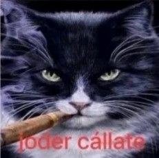 GIF subido por MARIA JOSE