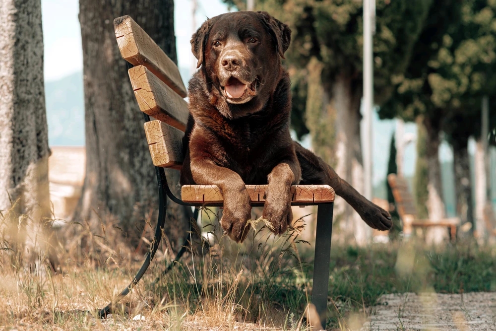 GIF uploaded by Marika