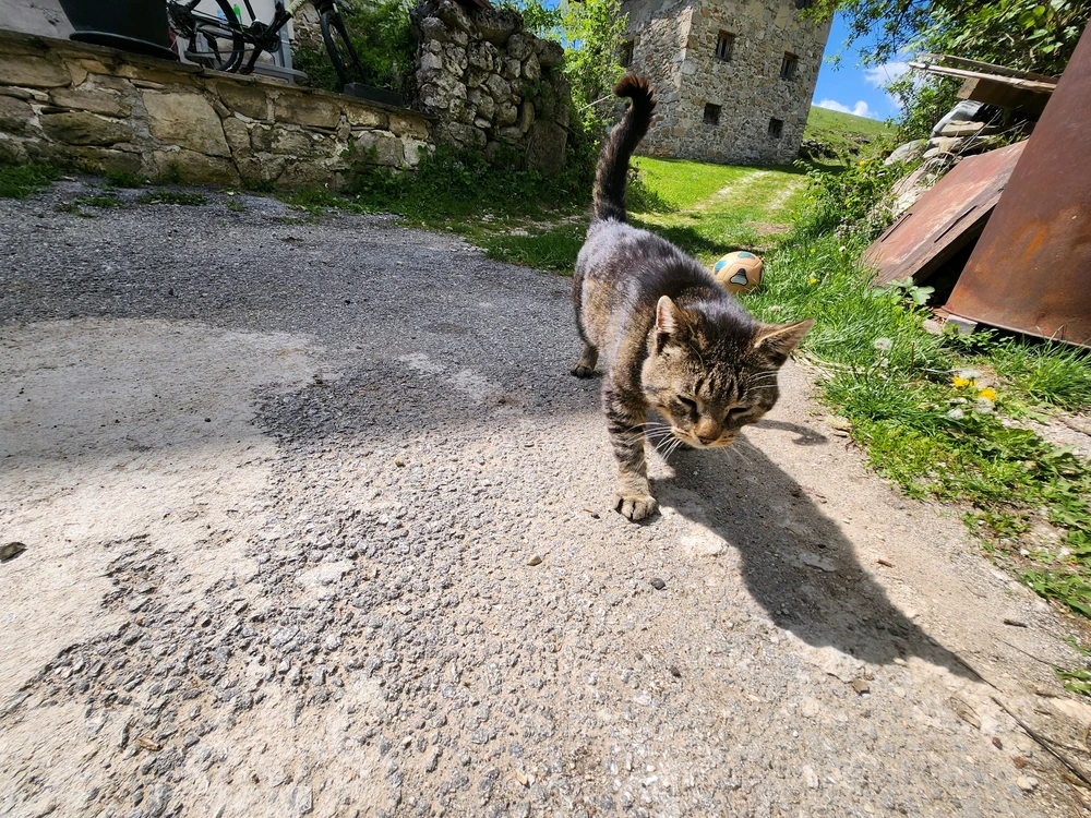 GIF uploaded by Almir