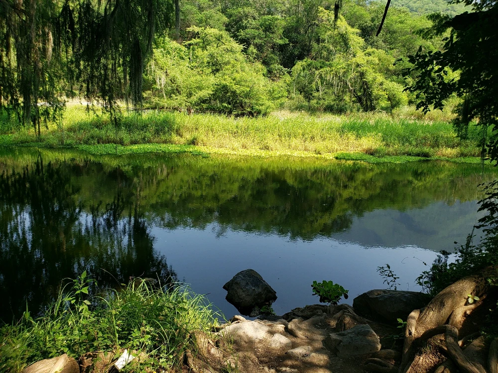 GIF subido por Al