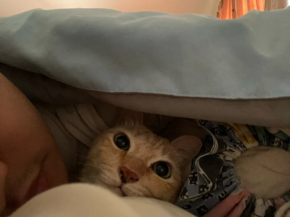 GIF uploaded by Sar