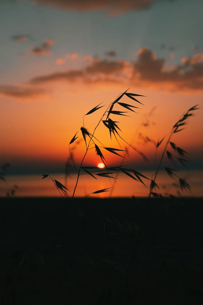 GIF uploaded by Hererra