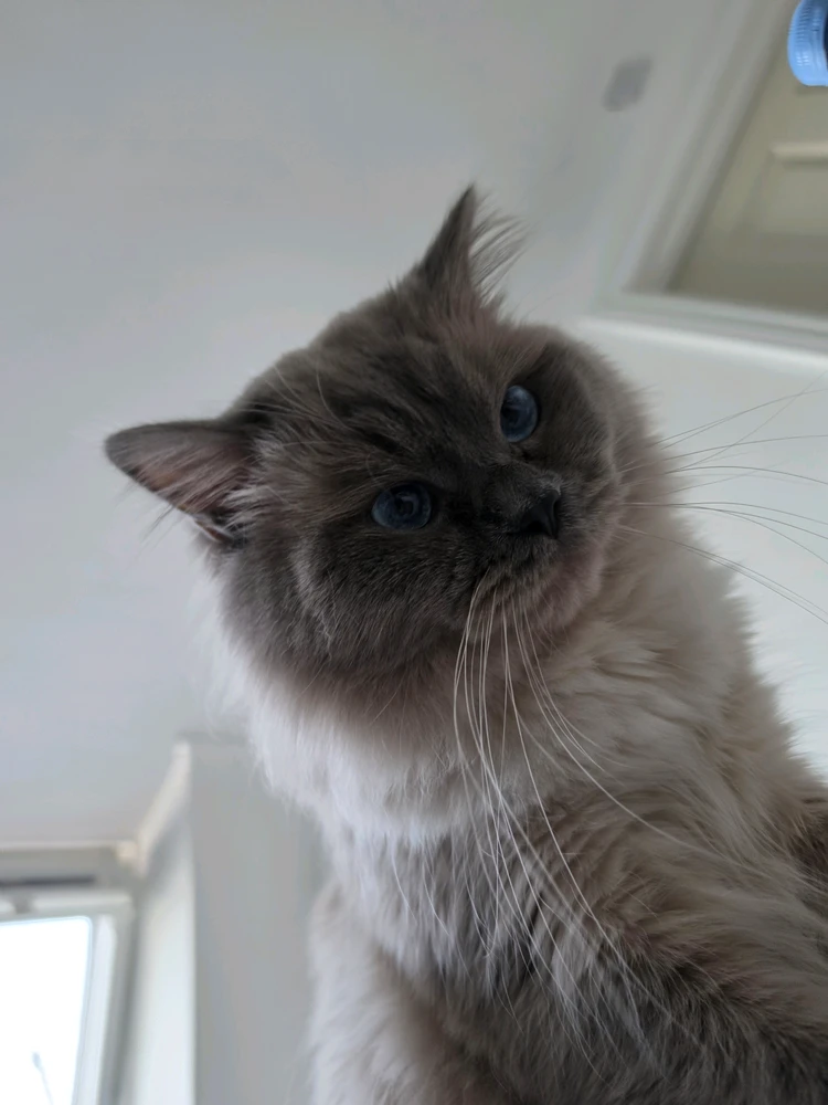 GIF uploaded by Lexi