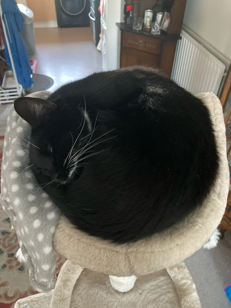 GIF uploaded by Liam