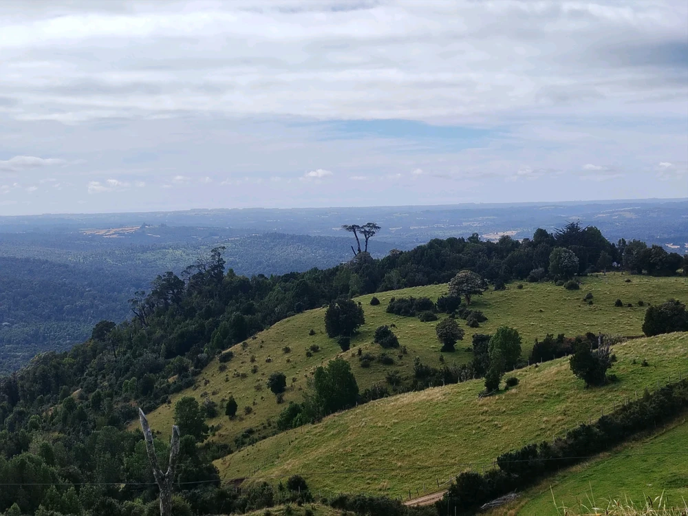 GIF uploaded by Felipe