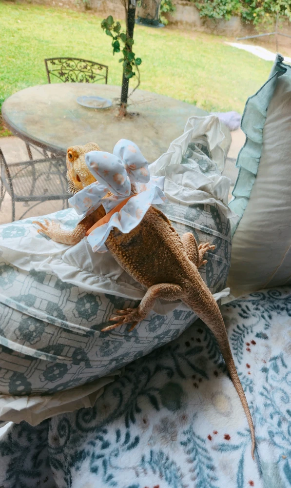 GIF uploaded by Clawdia Diamond