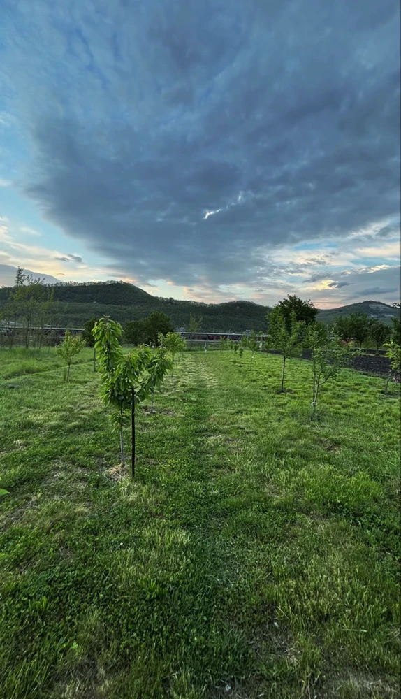 GIF uploaded by Cătălin