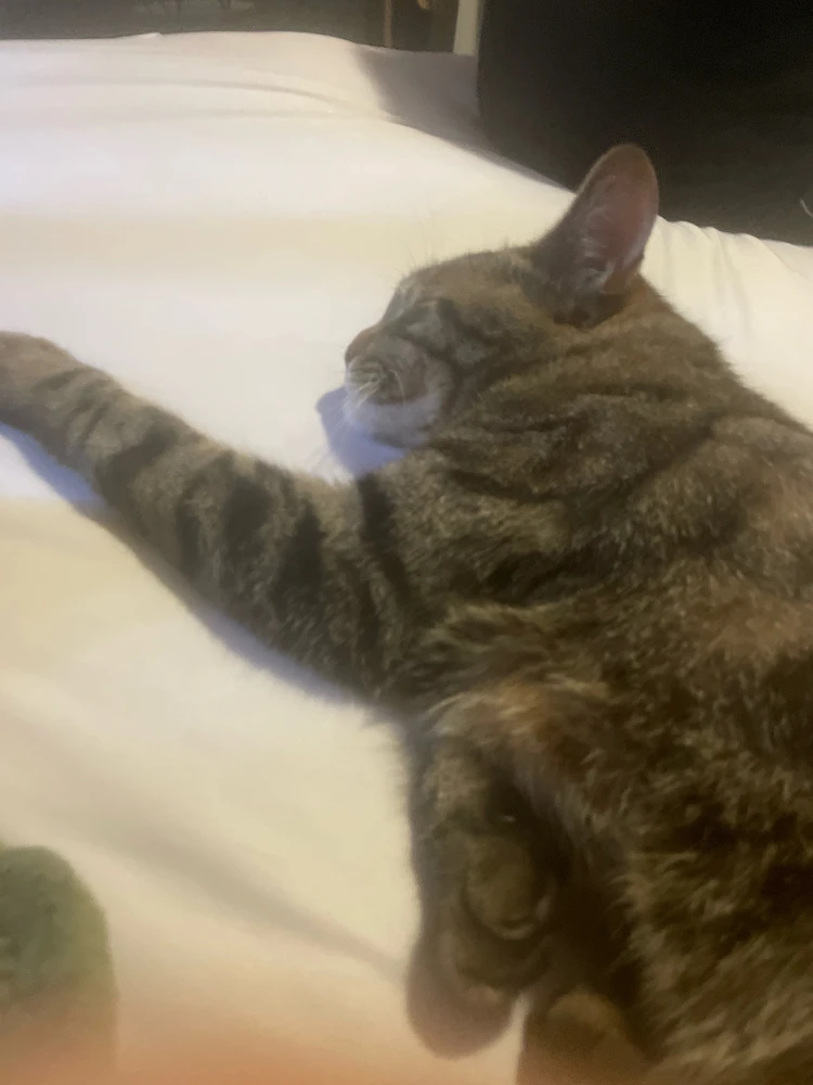 GIF uploaded by Sammy