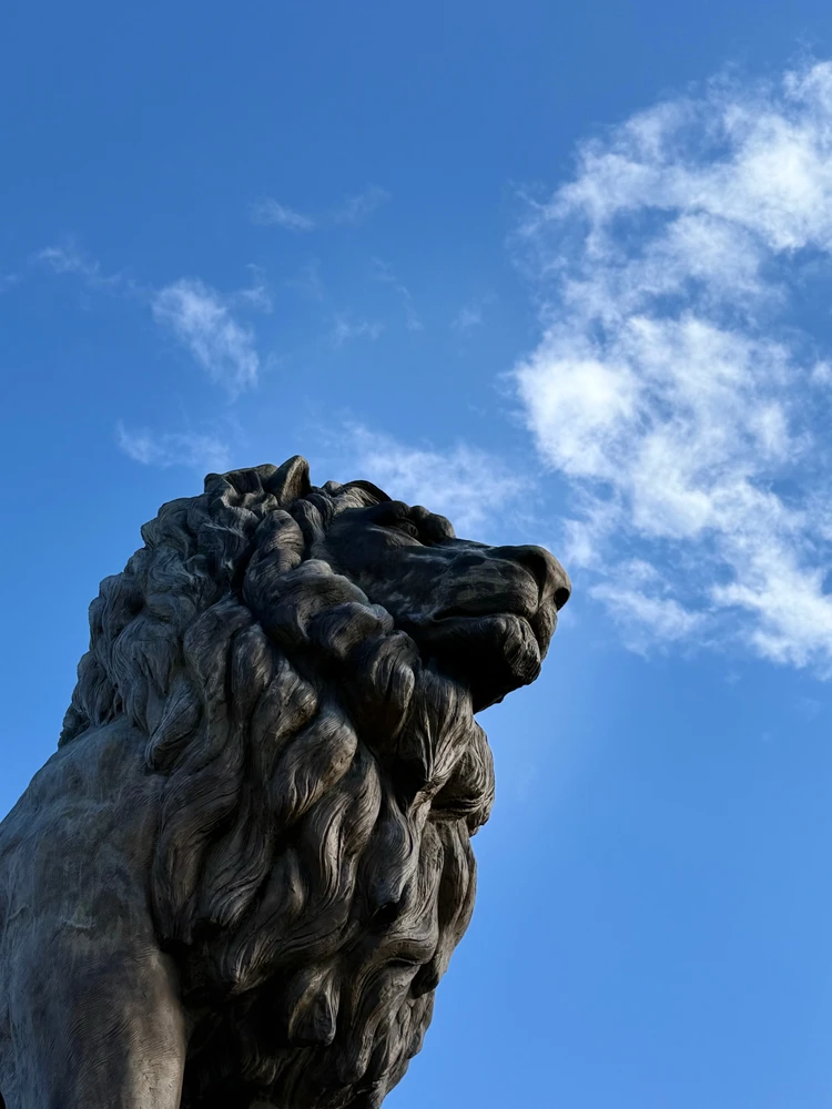 GIF uploaded by levent