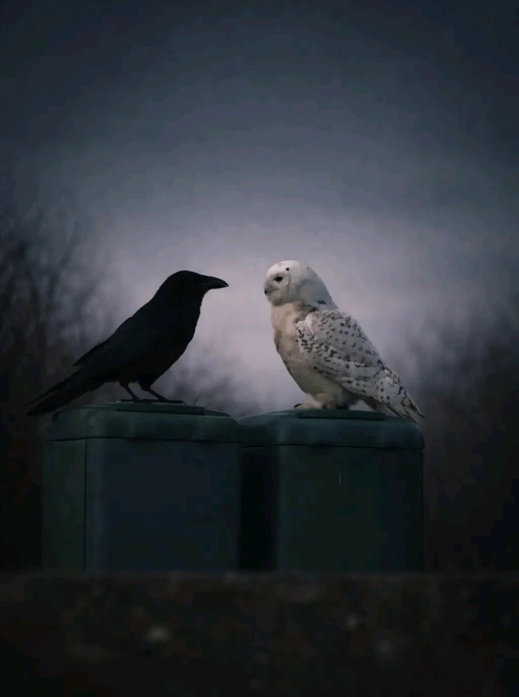 GIF uploaded by shaw