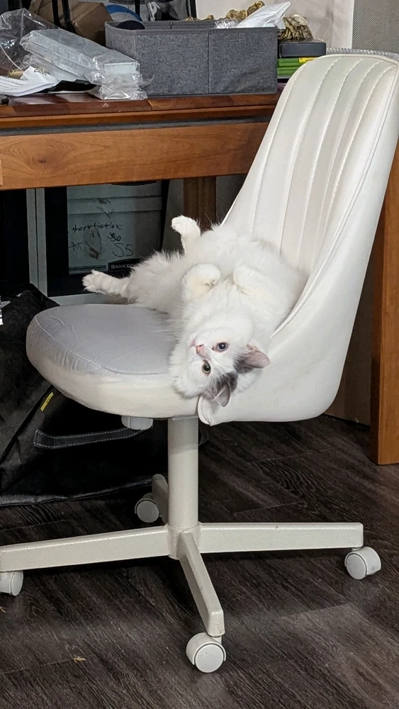 GIF uploaded by Nyx