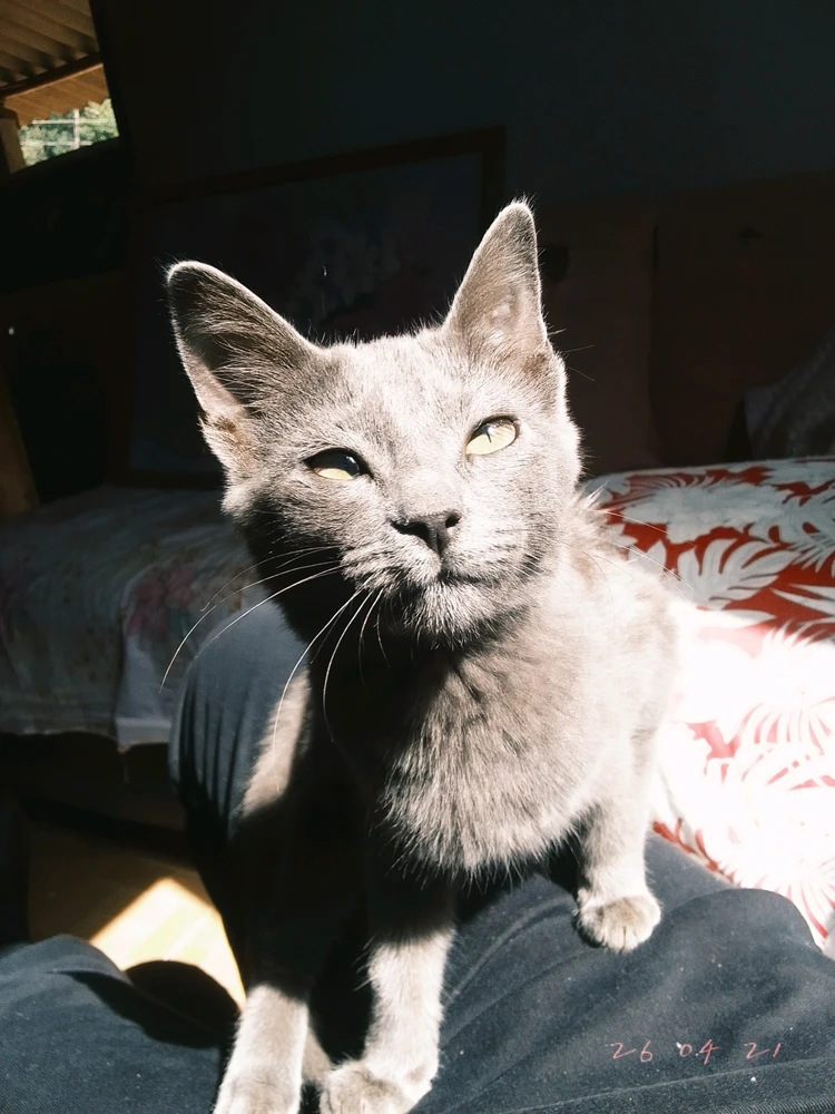 GIF enviado por Raíssa