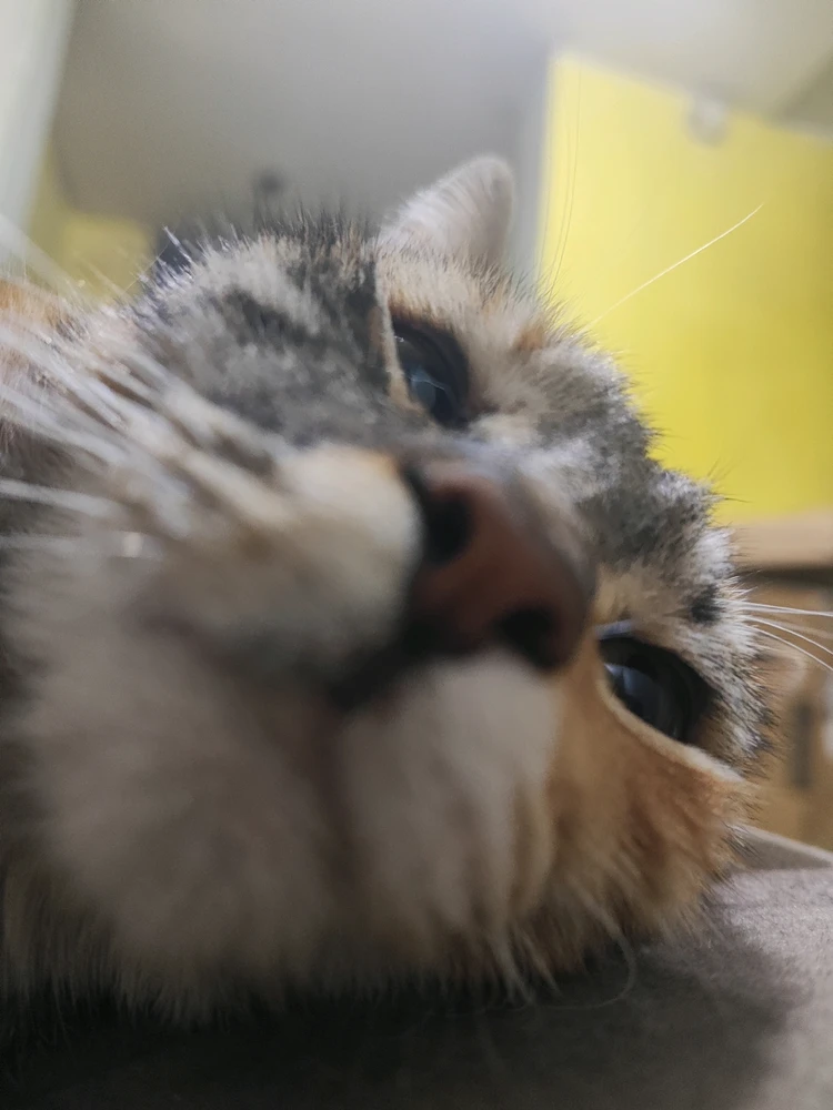 GIF uploaded by Joss