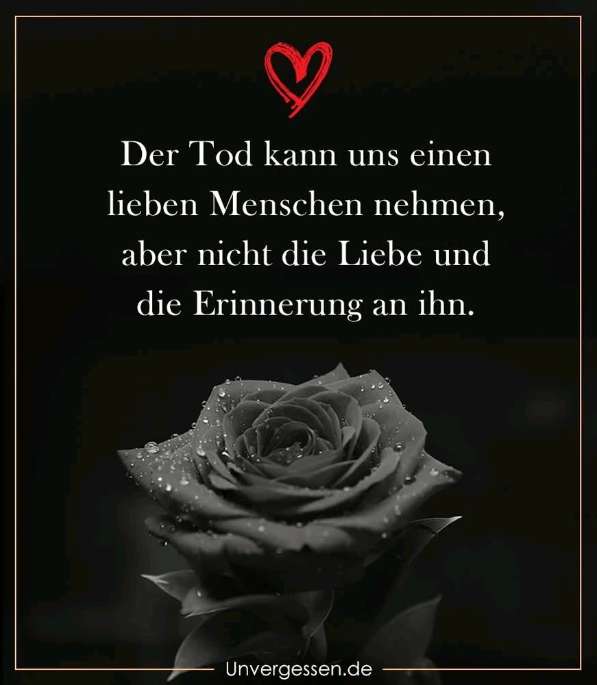GIF hochgeladen von Marco