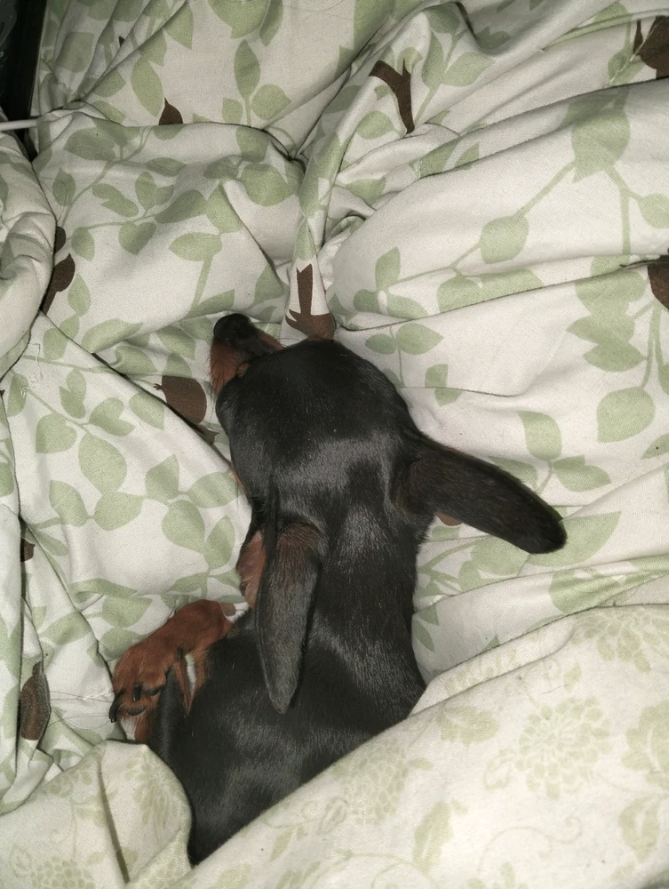 GIF uploaded by Nirene
