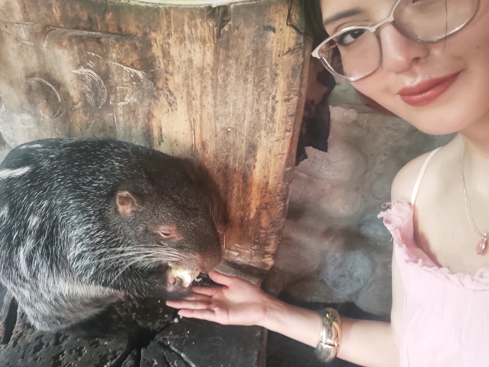 GIF eropgeluede vum Alexandra
