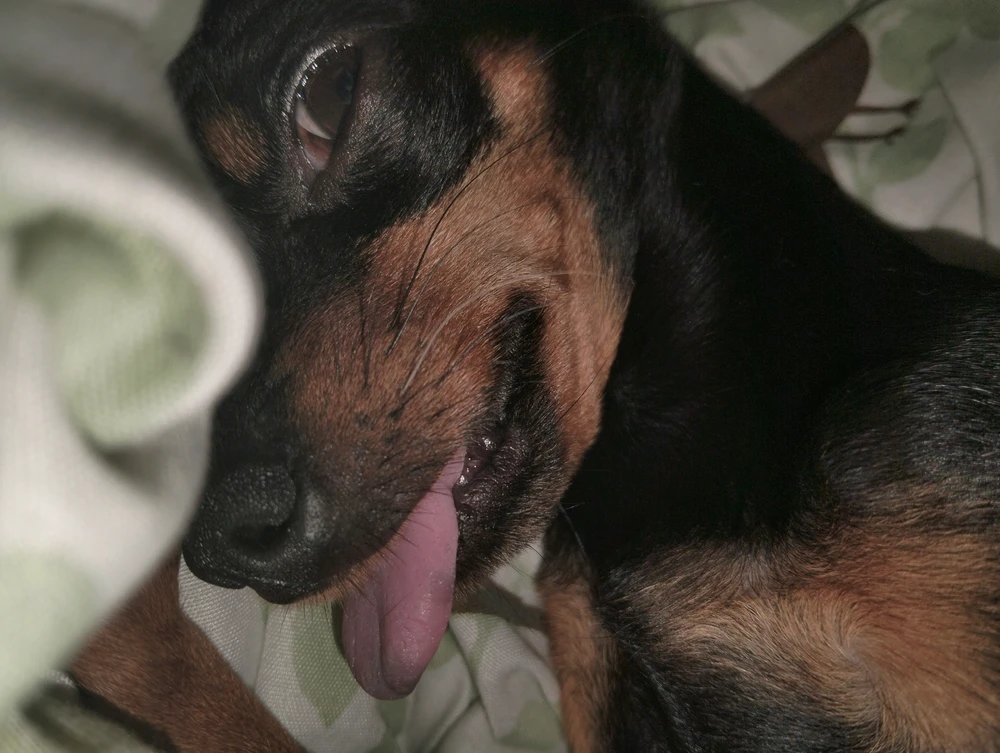 GIF uploaded by Nirene