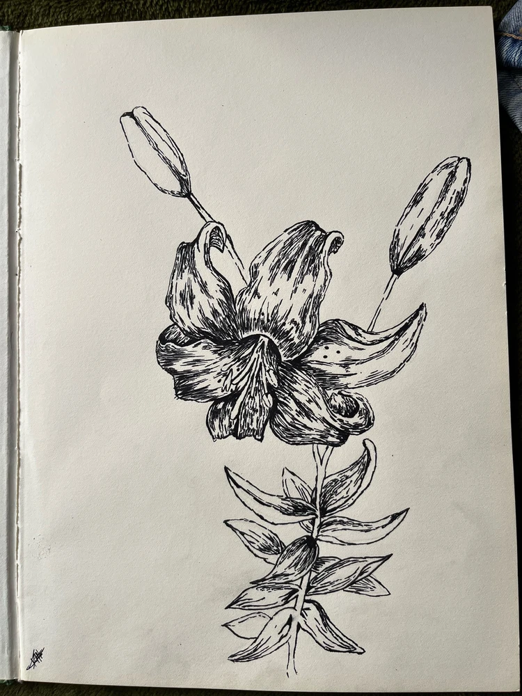 GIF uploaded by Rafael Mego