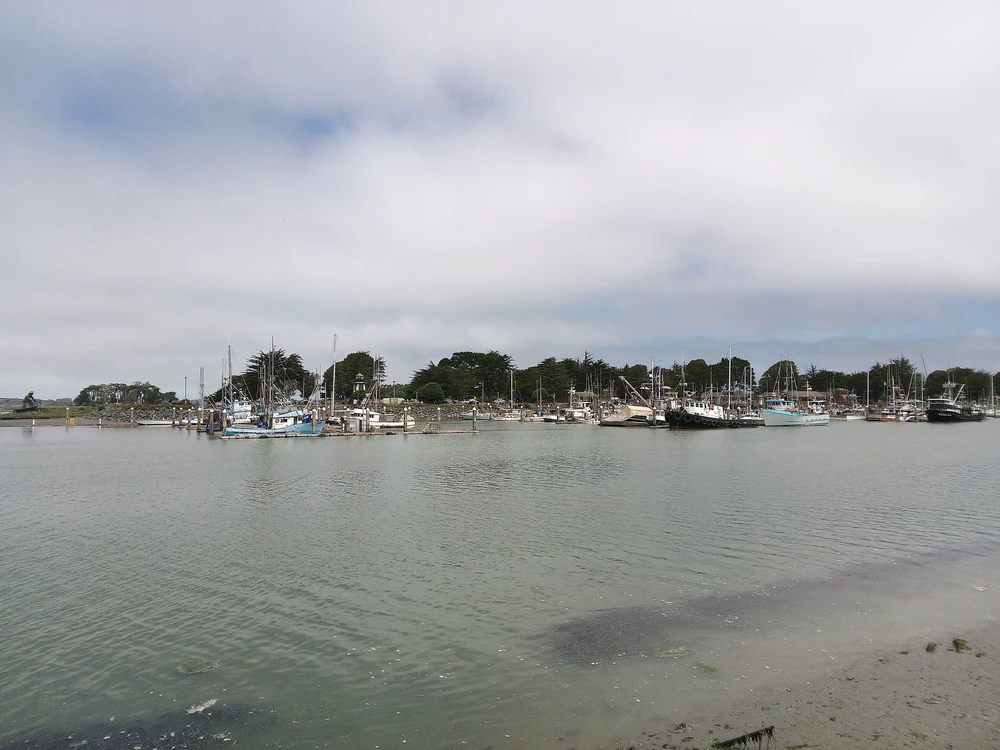 Image uploaded by Benjiggity