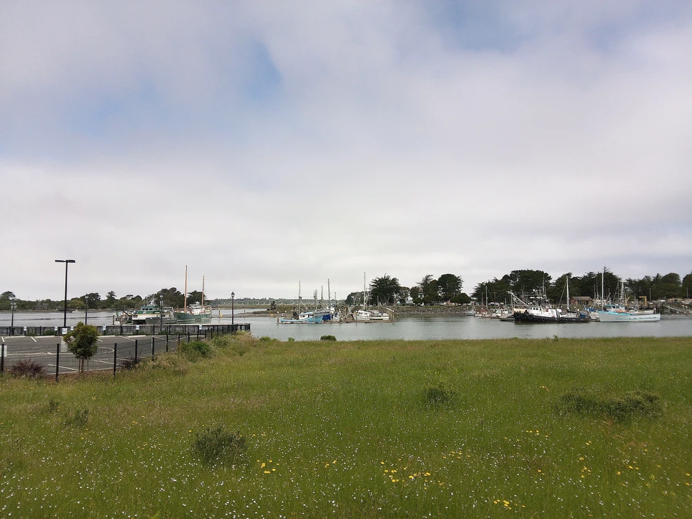 Image uploaded by Benjiggity