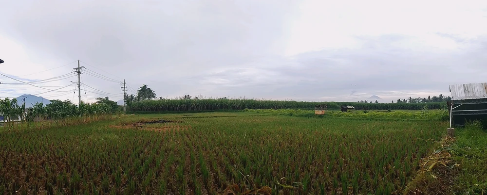 GIF uploaded by Cii