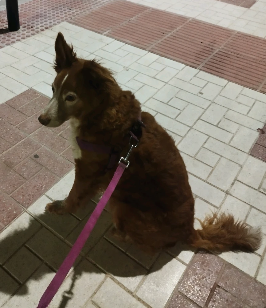 GIF uploaded by Ichi