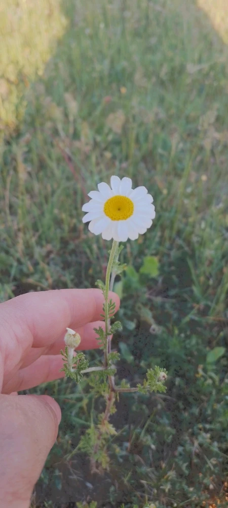 GIF uploaded by Kas