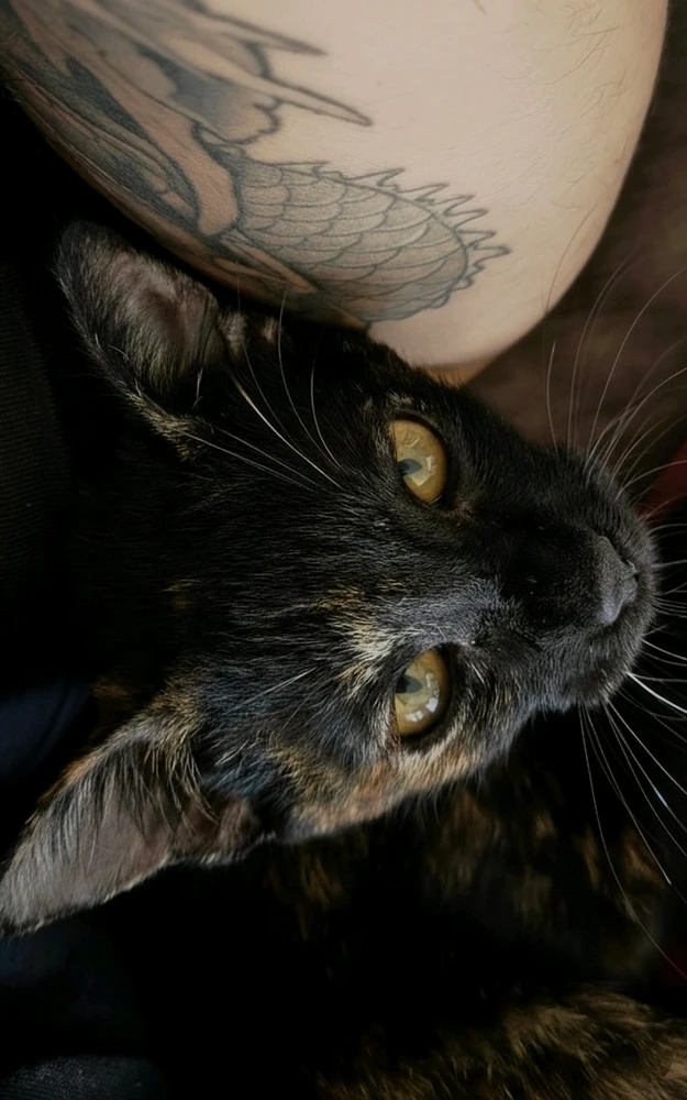 Image uploaded by Aaron