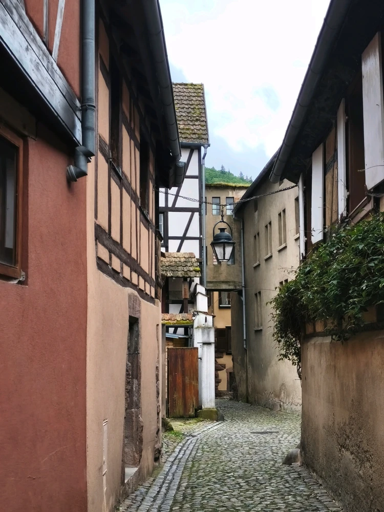 Image ajoutée par Coralie